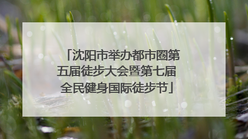 沈阳市举办都市圈第五届徒步大会暨第七届全民健身国际徒步节