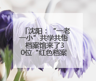 沈阳：“一老一小”共学共悟 档案馆来了30位“红色档案修复师”