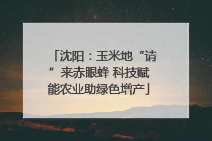沈阳：玉米地“请”来赤眼蜂 科技赋能农业助绿色增产