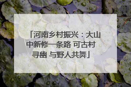 河南乡村振兴：大山中新修一条路 可古村寻幽 与野人共舞