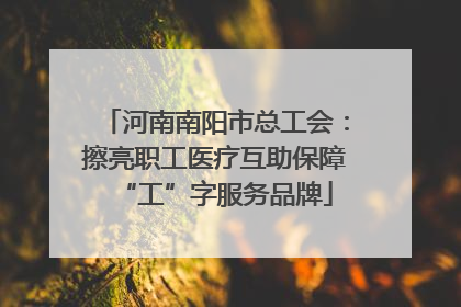 河南南阳市总工会：擦亮职工医疗互助保障“工”字服务品牌