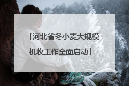 河北省冬小麦大规模机收工作全面启动