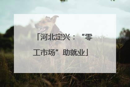 河北定兴：“零工市场”助就业