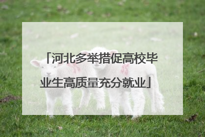 河北多举措促高校毕业生高质量充分就业