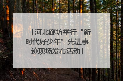 河北廊坊举行“新时代好少年”先进事迹现场发布活动