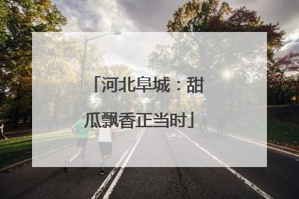 河北阜城：甜瓜飘香正当时
