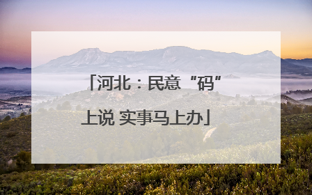 河北：民意“码”上说 实事马上办