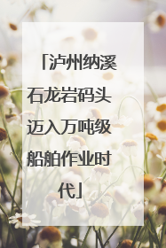 泸州纳溪石龙岩码头迈入万吨级船舶作业时代
