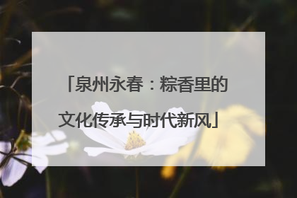 泉州永春：粽香里的文化传承与时代新风