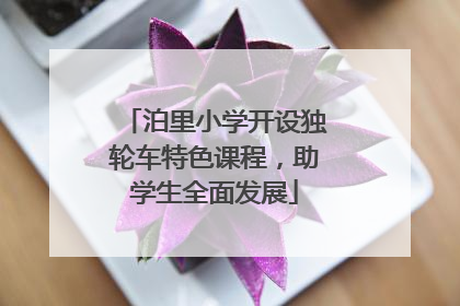 泊里小学开设独轮车特色课程，助学生全面发展