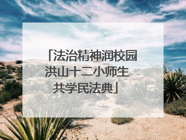法治精神润校园 洪山十二小师生共学民法典