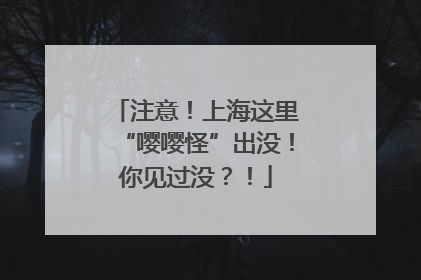 注意！上海这里“嘤嘤怪”出没！你见过没？！