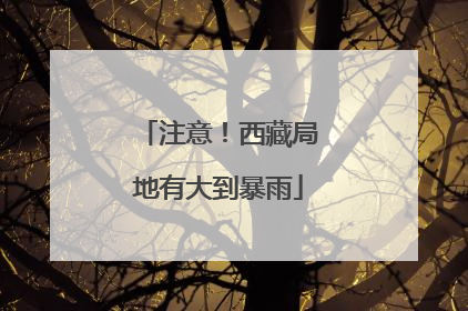 注意！西藏局地有大到暴雨