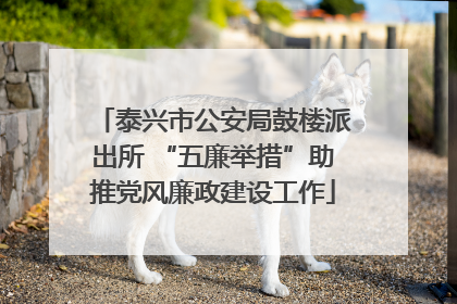 泰兴市公安局鼓楼派出所 “五廉举措”助推党风廉政建设工作