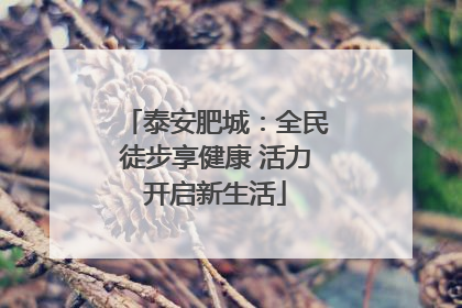 泰安肥城：全民徒步享健康 活力开启新生活