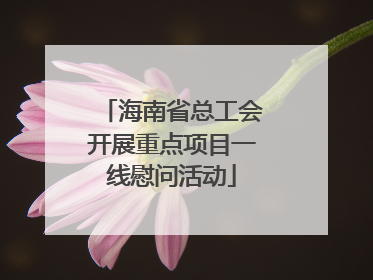 海南省总工会开展重点项目一线慰问活动