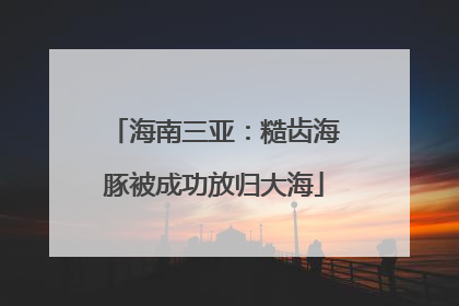 海南三亚：糙齿海豚被成功放归大海