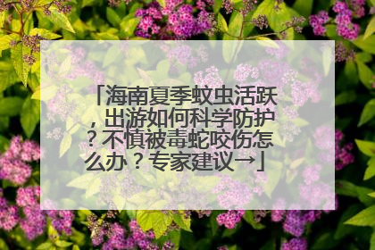 海南夏季蚊虫活跃，出游如何科学防护？不慎被毒蛇咬伤怎么办？专家建议→