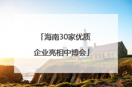 海南30家优质企业亮相中博会