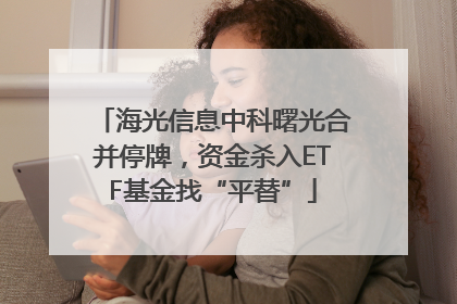海光信息中科曙光合并停牌，资金杀入ETF基金找“平替”