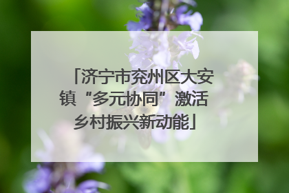 济宁市兖州区大安镇“多元协同”激活乡村振兴新动能