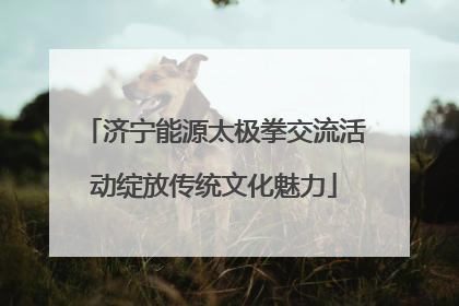 济宁能源太极拳交流活动绽放传统文化魅力
