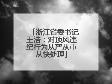 浙江省委书记王浩：对顶风违纪行为从严从重从快处理
