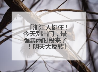 浙江人挺住！今天别出门，最强暴雨时段来了！明天大反转