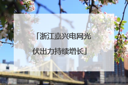 浙江嘉兴电网光伏出力持续增长