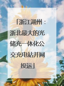 浙江湖州：浙北最大的光储充一体化公交充电站并网投运