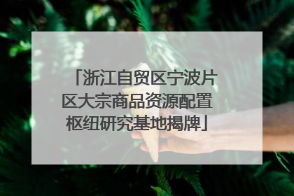 浙江自贸区宁波片区大宗商品资源配置枢纽研究基地揭牌