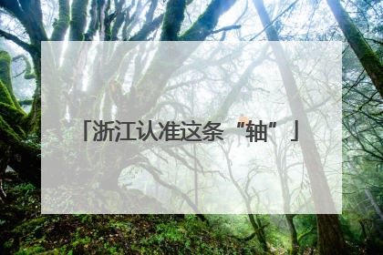 浙江认准这条“轴”