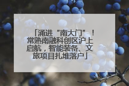 涌进“南大门”！常熟南融科创区沪上启航，智能装备、文旅项目扎堆落户
