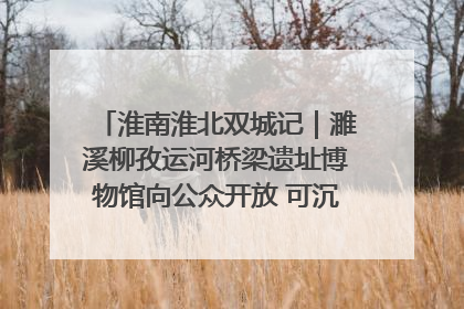 淮南淮北双城记｜濉溪柳孜运河桥梁遗址博物馆向公众开放 可沉浸式触摸历史