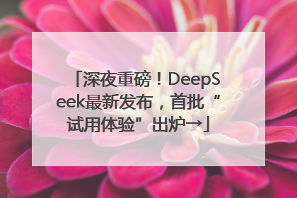 深夜重磅！DeepSeek最新发布，首批“试用体验”出炉→