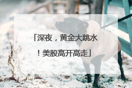 深夜，黄金大跳水！美股高开高走
