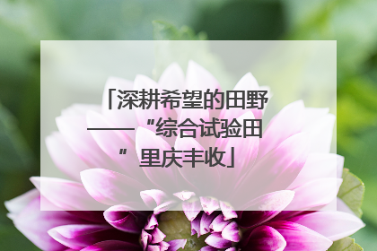 深耕希望的田野——“综合试验田”里庆丰收