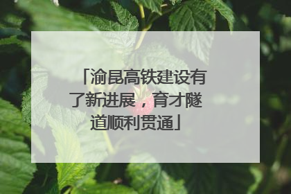 渝昆高铁建设有了新进展，育才隧道顺利贯通