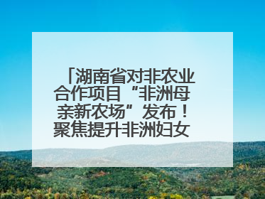 湖南省对非农业合作项目“非洲母亲新农场”发布！聚焦提升非洲妇女能力与家庭福祉