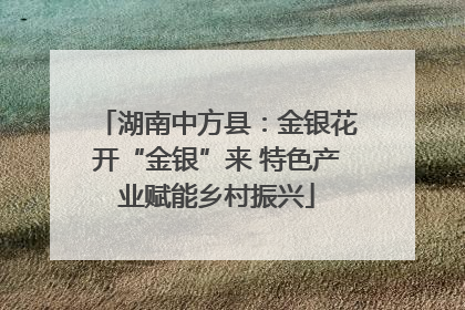 湖南中方县：金银花开“金银”来 特色产业赋能乡村振兴