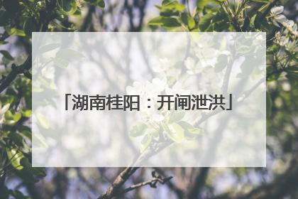 湖南桂阳：开闸泄洪