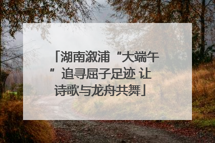 湖南溆浦“大端午”追寻屈子足迹 让诗歌与龙舟共舞
