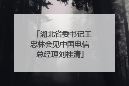 湖北省委书记王忠林会见中国电信总经理刘桂清