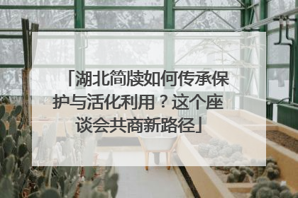 湖北简牍如何传承保护与活化利用？这个座谈会共商新路径
