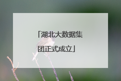 湖北大数据集团正式成立