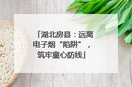 湖北房县：远离电子烟“陷阱”，筑牢童心防线