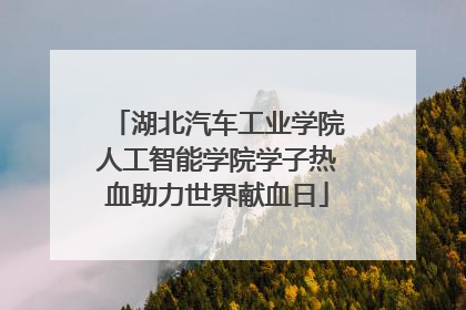 湖北汽车工业学院人工智能学院学子热血助力世界献血日