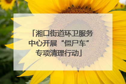 湘口街道环卫服务中心开展“僵尸车”专项清理行动