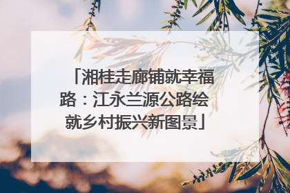 湘桂走廊铺就幸福路：江永兰源公路绘就乡村振兴新图景
