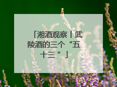 湘酒观察丨武陵酒的三个“五十三 ”